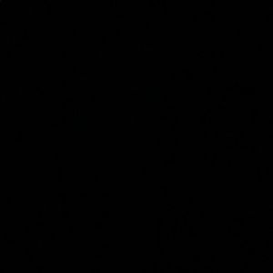 Meet your Posher, Layla